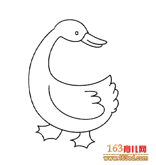 简笔画：鸭子5